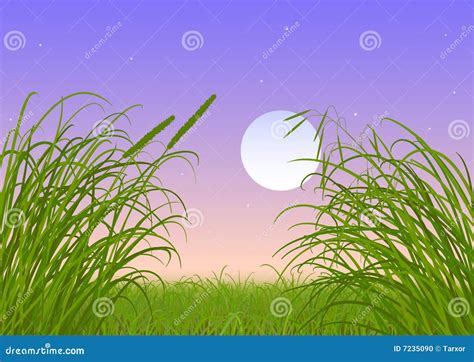 Green Grass Full Moon Night Sky Stock Photo Image 7235090