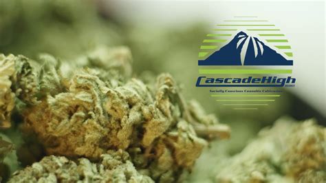 Cascade High Socially Conscious Cannabis Youtube