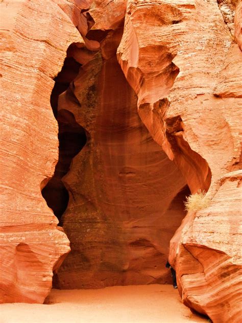 Free Images Nature Rock Wood Desert Formation Dry Arch Red