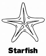 Starfish Coloring Star Sea Drawing Healthy Line Fish Kidsplaycolor Printable Getdrawings Getcolorings sketch template