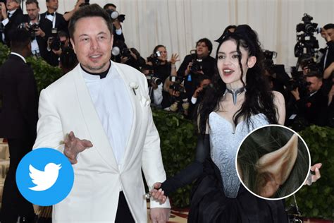 Elon Musk Tries To Persuade Grimes Not To Get Plastic Surgery On Twitter