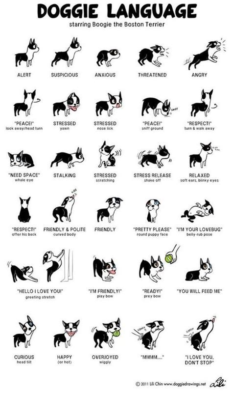 Incredibly Detailed Charts Will Help You Speak Your Dogs Language Love