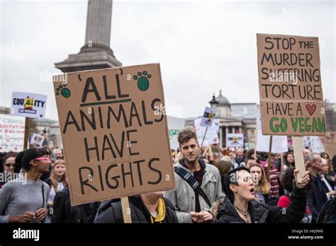Top 184 When Did The Animal Rights Movement Start