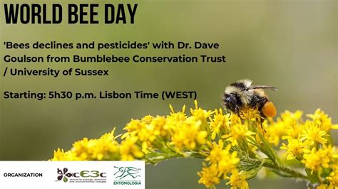World Bee Day 2020 Bee Declines And Pesticides By Dave Goulson
