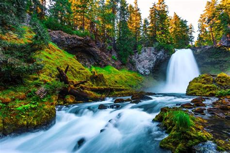 10 Most Beautiful Waterfalls In Oregon That Take You Closer To Nature Attractions Of America