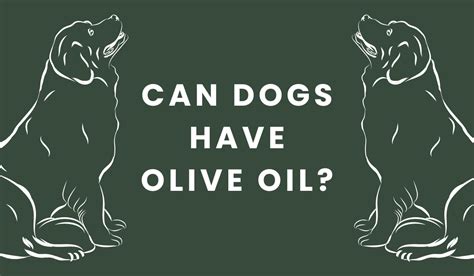 Can Dogs Have Olive Oil Exau Olive Oil