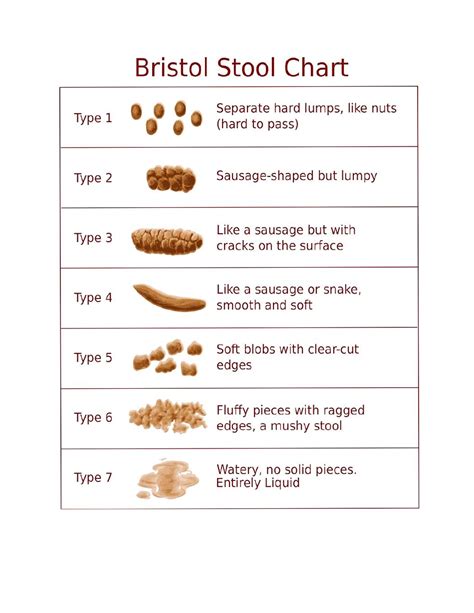 Bristol Stool Sample Chart Images And Photos Finder
