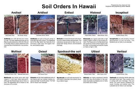 Soil Orders And Their Locations In Hawaii Download Scientific Diagram