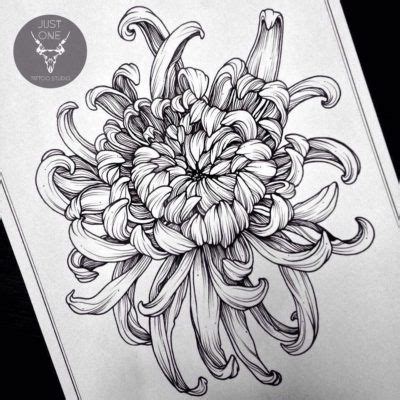 Original hand draw line art ornate flower design. Résultat de recherche d'images pour "chrysanthemum drawing"