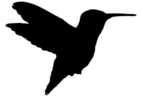 Ruby Throated Hummingbird Flying Kjm2735 10silhouette Bird Academy