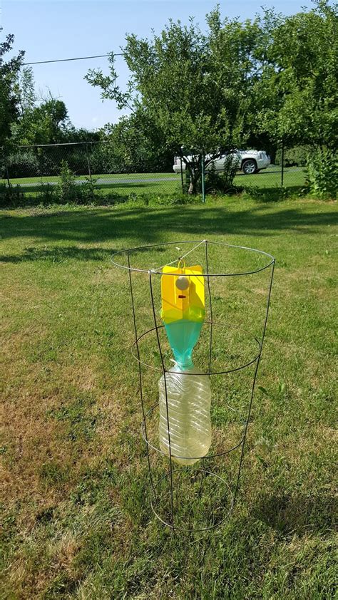 Gear Acres At Top Of The Hill Japanese Beetle Trap Hack