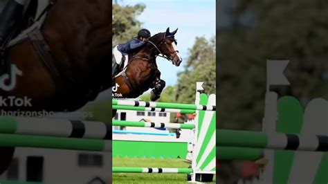 I Promise I Will Post More🫶🏻🫶🏻🫶🏻equestrian Horse Showjumping Edit