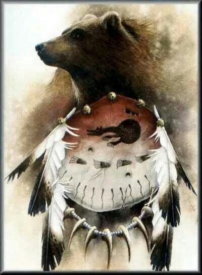 Bear Clan Aho Native American Artwork Bear Art Native