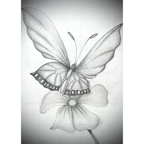 Curs Fluture Creion Marian Moncea