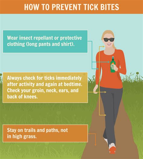 Precautions To Avoid Tick Bites