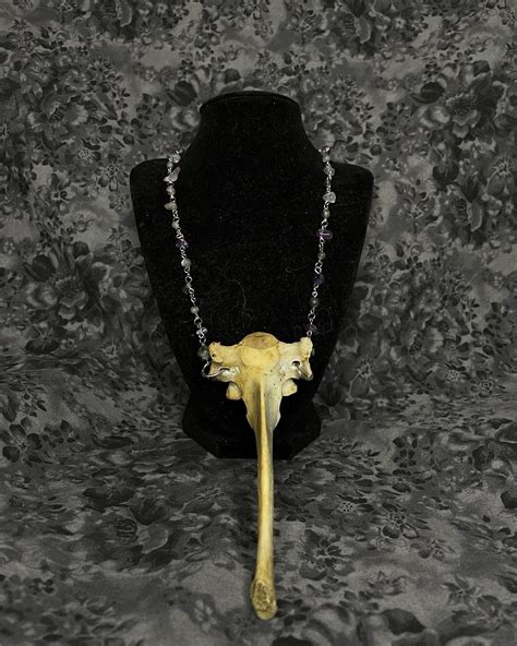 Heres A Deer Vertebrae Necklace I Made With Amethyst Crystals