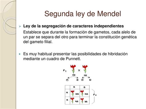 Ppt La GenÉtica Y Gregor Mendel Powerpoint Presentation Free