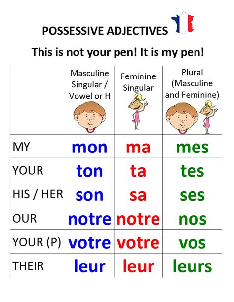 Les Adjectifs Possessifs Les Adjectifs Possessifs French Expressions