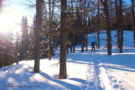 A Detailed Backcountry Skiing Route Description Of Tryst