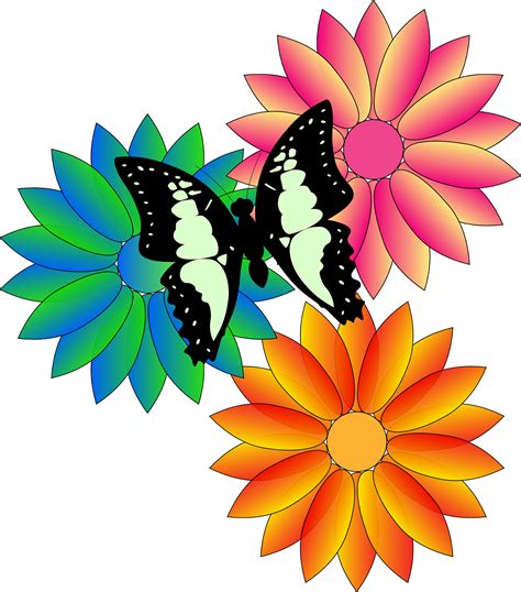 Butterfly Flowers Drawing Free Image Download