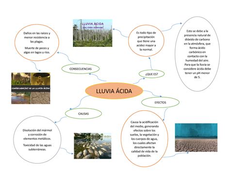 Example Mapa Conceptual De La Lluvia Acida Simple The Book Mapa My