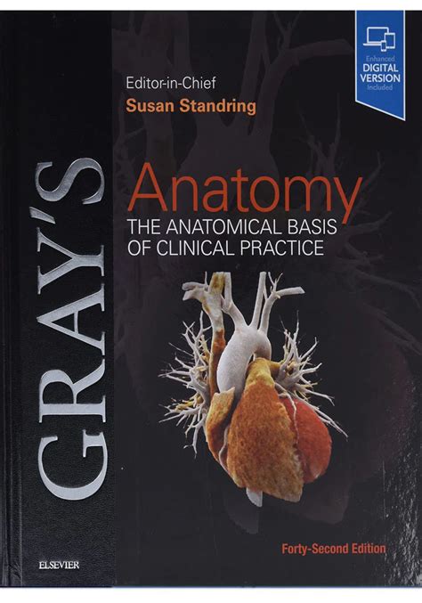 Grays Anatomy The Anatomical Basis Of Clinical Practice 42nd Edition
