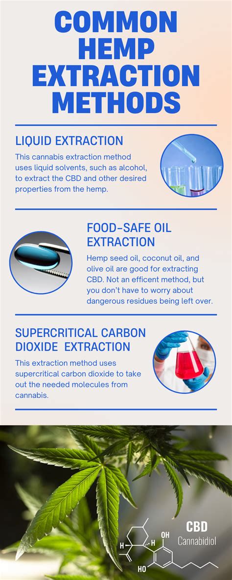 Get To Know The Most Common Cannabis Extraction Methods