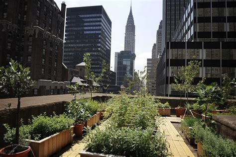 Urban Gardening New York City Farm House