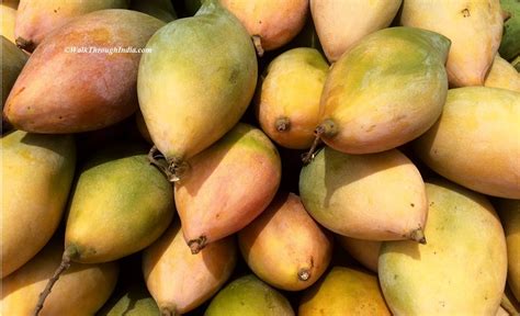 Top 12 Most Famous Varieties Of Indian Mangoes