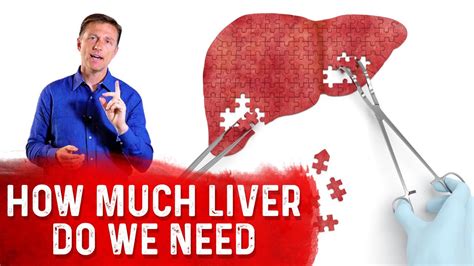 Can We Live Without A Liver Youtube