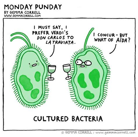Bacteria Culture Nerd Humor Science Jokes Science Puns