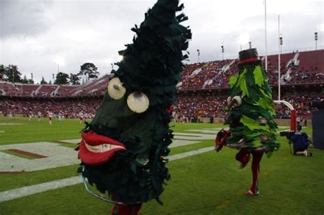 Stanford University The Stanford Tree The Definitive Ranking Of The