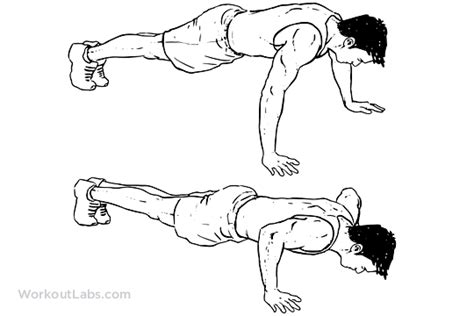 Wide Push Up Illustrated Exercise Guide Workoutlabs