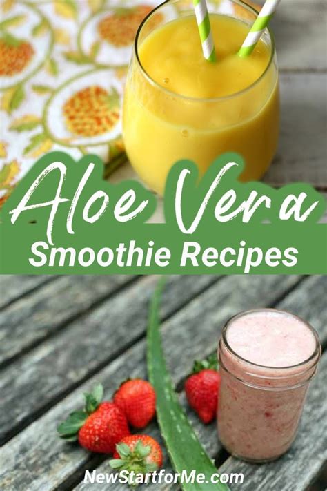 29 Smoothie Recipes With Aloe Vera Aloe Vera Juice Recipes Aloe Vera