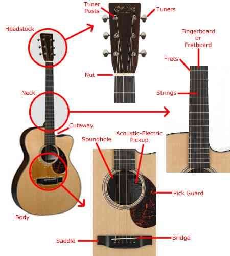 Here's a diagram that shows all guitar parts for acoustic as well as electric guitar instruments. Guitar String Diagram | Action refers to the distance of the strings above the fingerboard ...