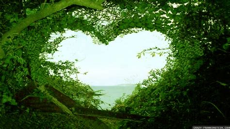Love Nature Wallpapers Top Free Love Nature Backgrounds Wallpaperaccess