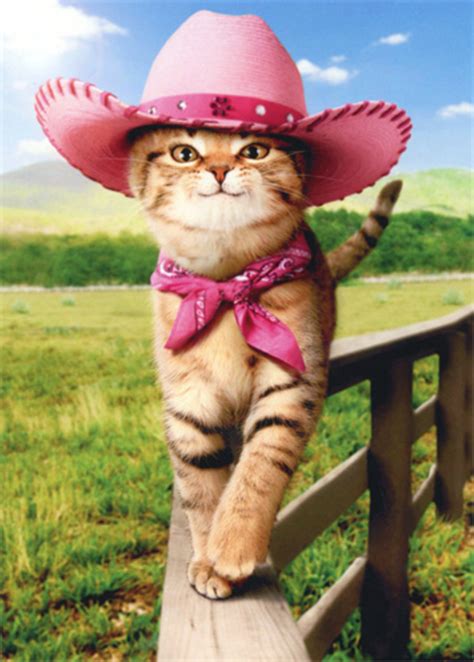 Great news!!!you're in the right place for cat cowboy hat. Girly Cat With Cowboy Hat - Avanti Funny Friendship Card ...