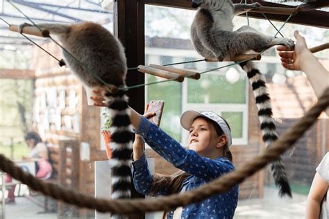 Фотозвіт за липень Animal Park контактный зопарк Animal Park