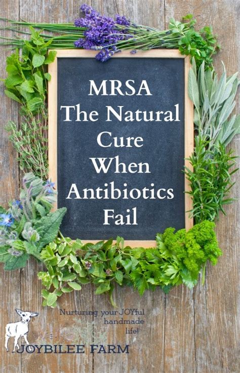 Mrsa The Natural Cure When Antibiotics Fail You