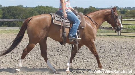 Mates Mandy Lou Riding In Outdoor Arena 2 Valley View Ranch Youtube