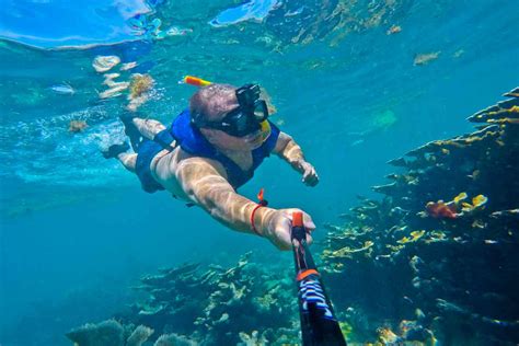 Florida Keys Snorkeling 12 Best Places And Tours Sunlight Living