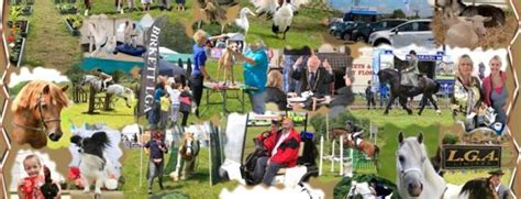 Day 3 Of Devon County Show 2014 Is Cancelled Visit South Molton