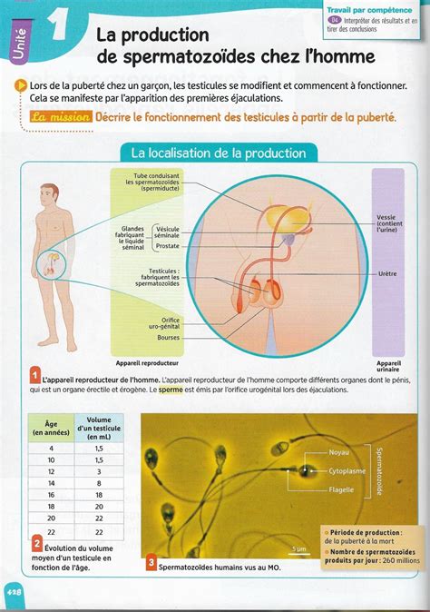 Chapitre N°7 Reproduction Humaine Et Formation Dun Nouvel Individu Svt Jules Michelet