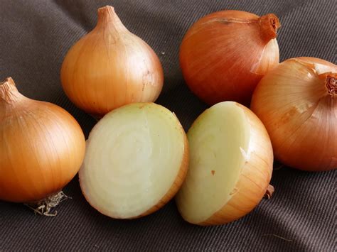 Organic Yellow Onions 5 Lbs