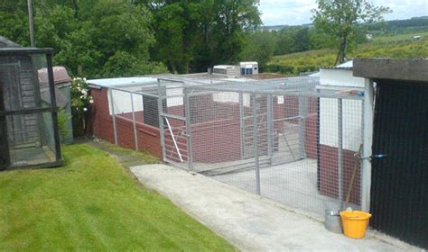 Country Kennels And Cattery Dog Boarding Kennels And Cattery Ayrshire
