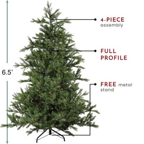 Northlight 65 Pre Lit Full Oregon Noble Fir Artificial Christmas Tree