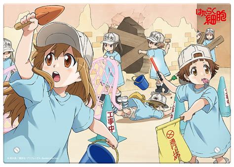 Platelet Chan Hataraku Saibou Wallpaper Anime Wallpaper Hd