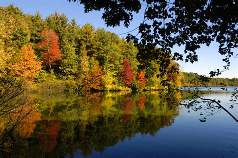 Shop by subject, style, room, best sellers & more. The Tonal Landscape - New England