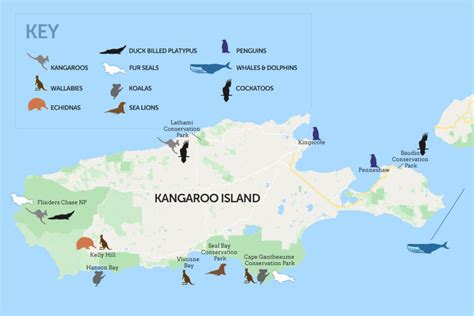 Must Read Facts Before Going To Kangaroo Island Beaches My Lifestyle