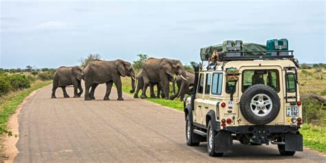 Top 15 Best Tourist Attractions In South Africa Safaribookings